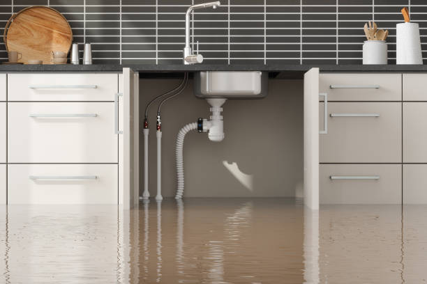 Trusted Baldwin City, KS Water damage restoration Experts