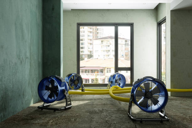 Best Water damage restoration insurance claims  in Baldwin City, KS